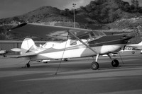 Cessna 170B N3495D
