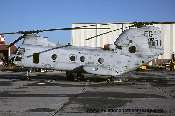 US Marines HMM-263 Vertol CH-46E Sea Knight 153975/EG-11 (1999)