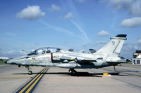 Italian Air Force 32 Stormo Aeritalia AMX-T MM55031/32-40 at RIAT Fairford (2004)
