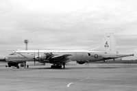 Argus (Canadair)