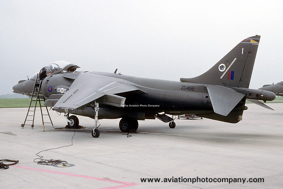 RAF 20 Squadron BAE Harrier GR.7 ZD466/I (1994)
