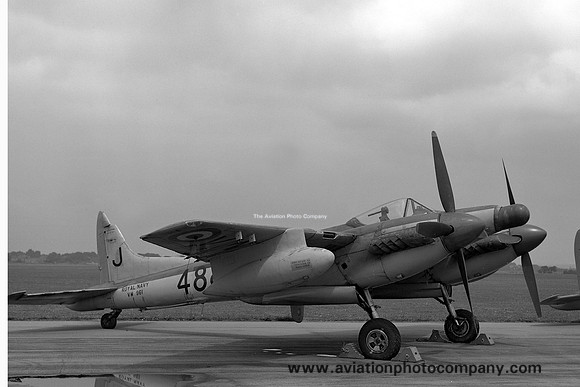 Royal Navy 809 Squadron De Havilland Sea Hornet NF.21 VW961 (1953)