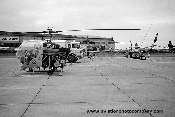Army Air Corps Blue Eagles Westland Sioux AH.1 XT134 (1970)