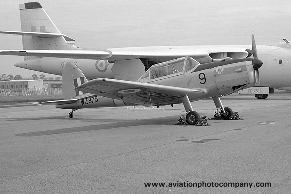 RAF College DHC-1 Chipmunk T.10 WZ875/9