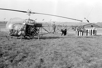 Army Air Corps Westland Sioux AH.1 XT192/M
