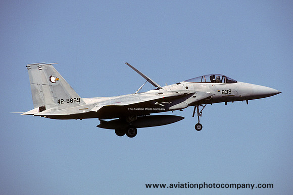 JASDF 204 Hikotai McDonnell Douglas F-15J Eagle 42-8839 (2002)