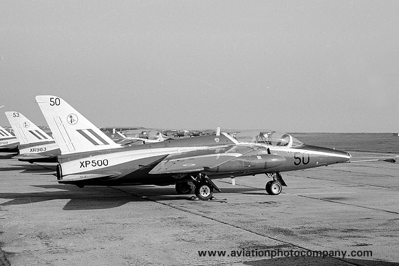 RAF 4 FTS Folland Gnat T.1 XP500/50 (1973)