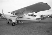 Taylorcraft Types