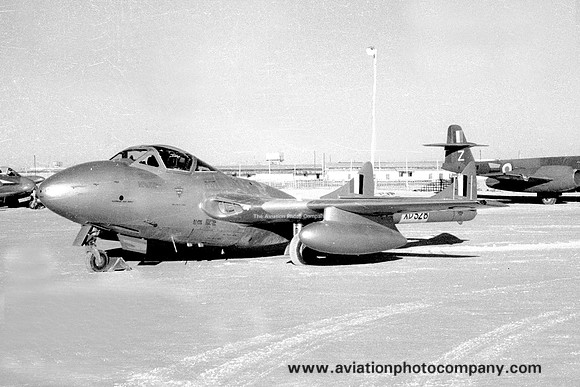 RAF De Havilland Vampire T.11 XD528 at Sharjah (1959)