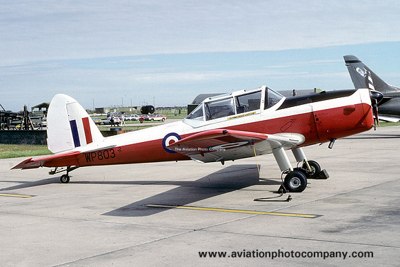 RAF 8 Squadron DHC-1 Chipmunk T.10 WP803 (1988)