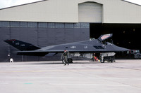 USAF 49 FW 9 FS Lockheed F-117A Nighthawk 83-0808/HO (2004)