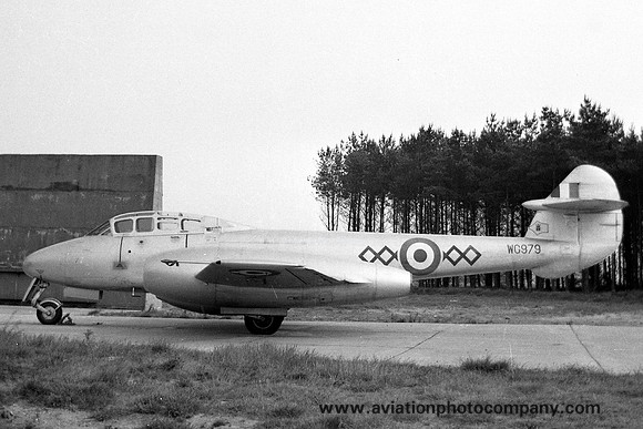 RAF 64 Squadron Gloster Meteor T.7 WG979 (1958)