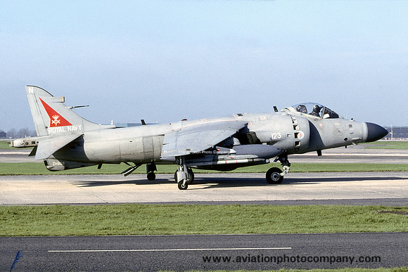 Royal Navy 800 Squadron BAE Sea Harrier F/A.2 ZH809/N123 (2001)