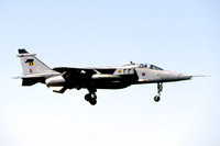 RAF 16 Squadron Sepecat Jaguar GR.1 XZ358/C (2001)