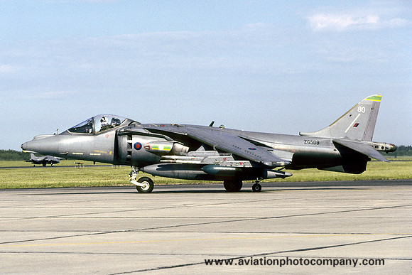 RAF 3 Squadron BAE Harrier GR.7 ZG509/80 (2001)