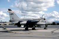 RAF 41 Squadron Sepecat Jaguar GR.3 XZ363/FO (2001)
