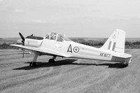 Percival Provost T.1 G-AWVF/XF877 (1976)