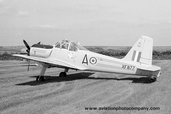 Percival Provost T.1 G-AWVF/XF877 (1976)