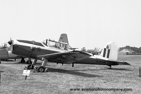 RAF 1 SoTT DHC-1 Chipmunk T.10 8394M (1976)