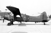 Army Air Corps 669 Squadron DHC-2 Beaver AL.1 XV273 (1975)