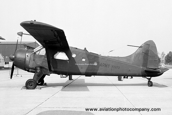 Army Air Corps 669 Squadron DHC-2 Beaver AL.1 XV273 (1975)