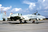 USAF 355 TFW 333 TFS Fairchild A-10A Thunderbolt 75-0283/DM (1980)