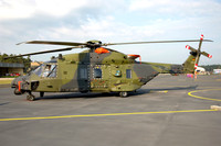 German Army HFWS NHI NH90-TTH 78+08 (2009)