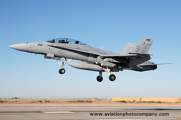 US Navy VFA-106 McDonnell Douglas F/A-18D Hornet 164226/AD-441 at NAF El Centro (2012)