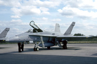 Finnish Air Force McDonnell Douglas F-18C Hornet HN-421 (2005)