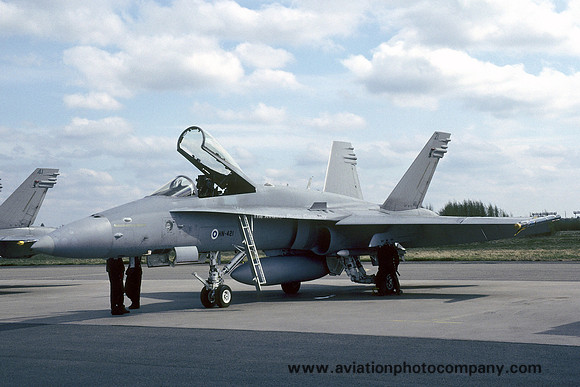 Finnish Air Force McDonnell Douglas F-18C Hornet HN-421 (2005)