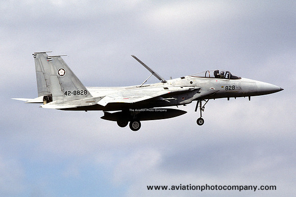 JASDF 305 Hikotai McDonnell Douglas/MHI F-15J Eagle 42-8828 (2004)