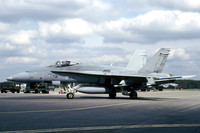 Finnish Air Force McDonnell Douglas F-18C Hornet HN-424 (2005)