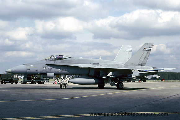 Finnish Air Force McDonnell Douglas F-18C Hornet HN-424 (2005)