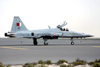 Bahrain Air Force 6 Squadron Northrop F-5E Tiger 685 (2004)