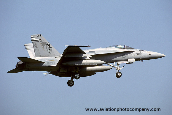 US Navy VFA-192 McDonnell Douglas F/A-18C Hornet 164903/NF-313 (2003)