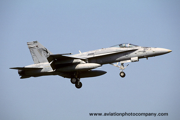 US Navy VFA-192 McDonnell Douglas F/A-18C Hornet 164966/NF-310 (2003)