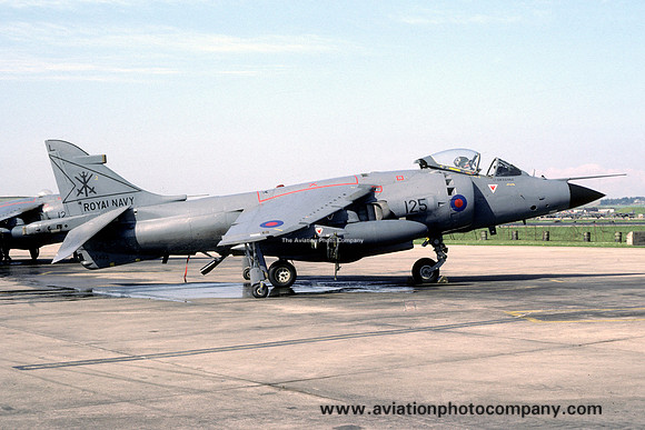 Royal Navy 800 Squadron Hawker Siddeley Sea Harrier FRS.1 XZ492/L125 (1985)