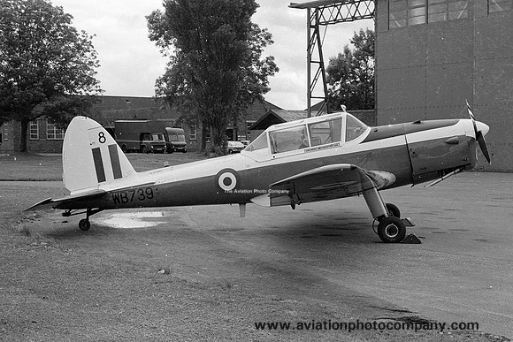 RAF 8 AEF DHC-1 Chipmunk T.10 WB739 (1978)