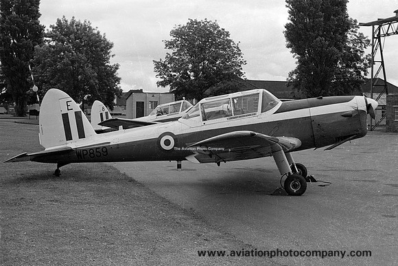RAF 8 AEF DHC-1 Chipmunk T.10 WP859 (1978)