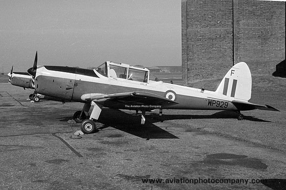 RAF 8 AEF DHC-1 Chipmunk T.10 WP929 (1978)