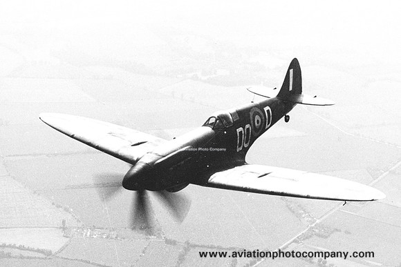 RAF Supermarine Spitifre F.21 "DO-D" Air to Air