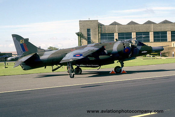 RAF 1 Squadron Hawker Siddeley Harrier GR.3 XZ968/01 (1988)
