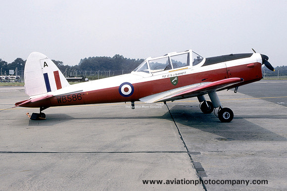 RAF 6 AEF DHC-1 Chipmunk T.10 WB586/A (1994)