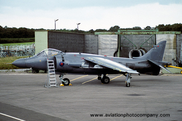 Royal Navy/BAe Hawker Siddeley Sea Harrier FRS.2 ZA195 (1989)