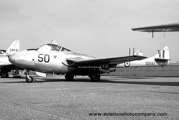 RAF 8 FTS De Havilland Vampire T.11 XD595