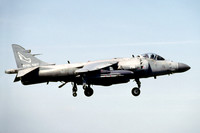 Royal Navy 899 Squadron BAE Sea Harrier F/A.2 ZH811/714 (2001)