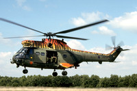 Puma/Super Puma
