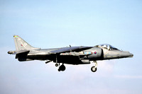RAF 20 Squadron BAE Harrier GR.7 ZG502/73 (2001)