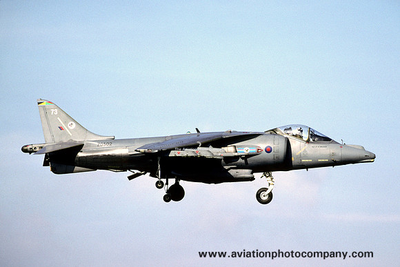 RAF 20 Squadron BAE Harrier GR.7 ZG502/73 (2001)