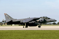 RAF 1 Squadron BAE Harrier GR.7 ZG510/81 (2001)